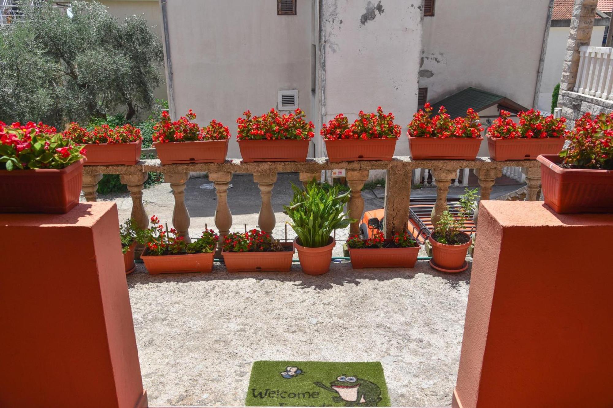 Petrovac Vila Apartments Lidija מראה חיצוני תמונה